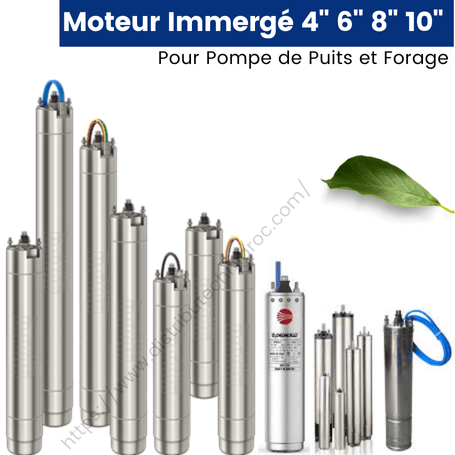 Moteur immergé 4" 6" 8" 10" cv-kw-220V-380V pour pompe puits et forage – Prix Maroc